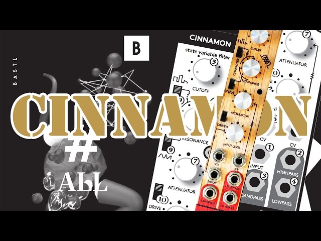 Bastl CINNAMON: VCF/VCO Quick Overview & Sound Demo #TTNM - YouTube