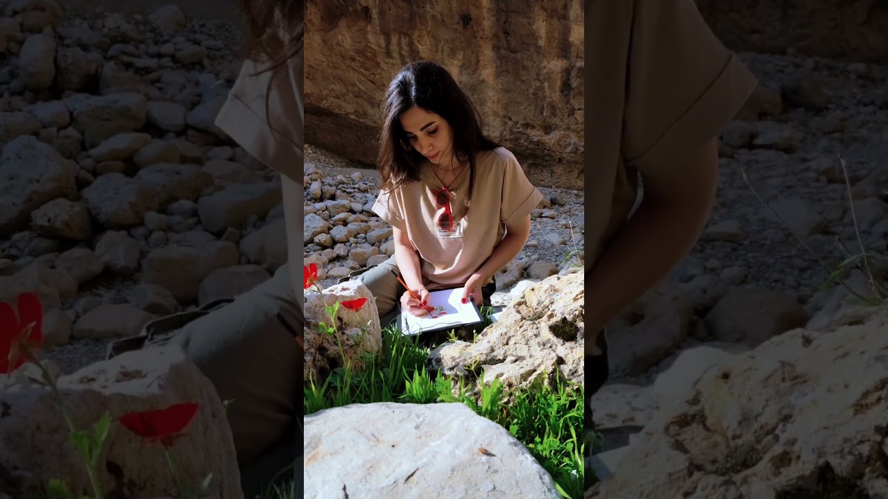 A Poppy’s Defiance: Nature’s Art in Iran’s Hidden Canyons