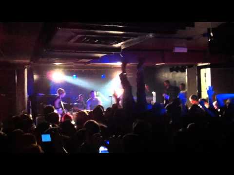 Ruby Light & Dark - Broilers live