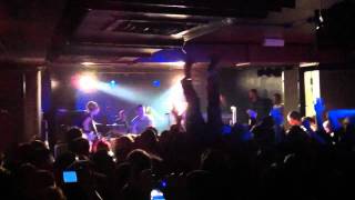 Ruby Light & Dark - Broilers live