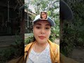 tiktok ( Kathleen Olanda YT channel)