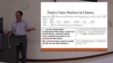 English-Chinese Parallel Corpus for Language Studies