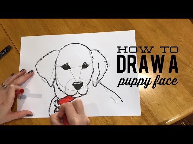 How to Draw a Puppy Face Step by Step Pets Animals FREE Online Drawing  Tutorial Added by Dawn February 19 20  Puppy drawing Cute puppies Dog  face drawing