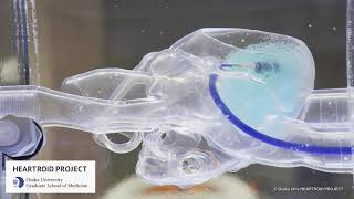 HEARTROID PROJECT Leadless Pacemaker Implantation