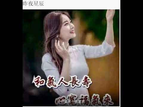 昨夜星辰york同薇薇合唱