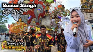 Download lagu Dalang Viral ❗ SUMUR SANGA VOC. MELLY - PUTRA NAFITA CAYA (PNC) || GEMPOL KULON - SUMBERMULYA