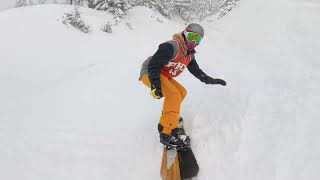 Powder and trees at Timberline