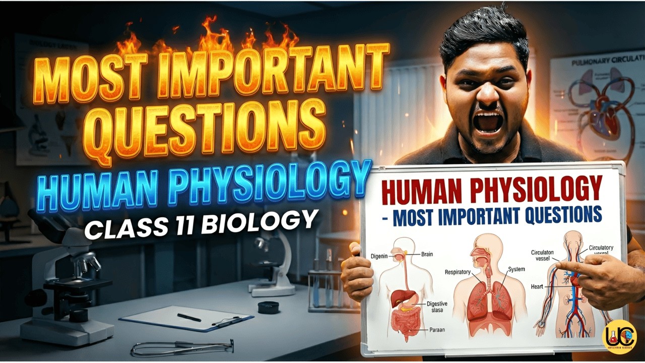 CLASS 11 BIOLOGY HUMAN PHYSIOLOGY MOST IMPORTANT QUESTIONS 2026 🔥 - YouTube