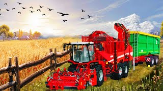 Sugar beet harvesting & storage beet in farming simulator 16 game play ||