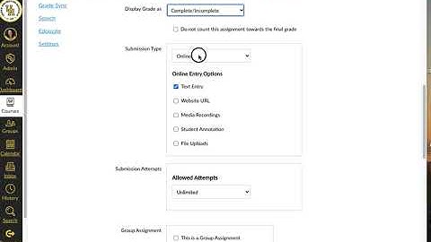 Canvas Assignment Options