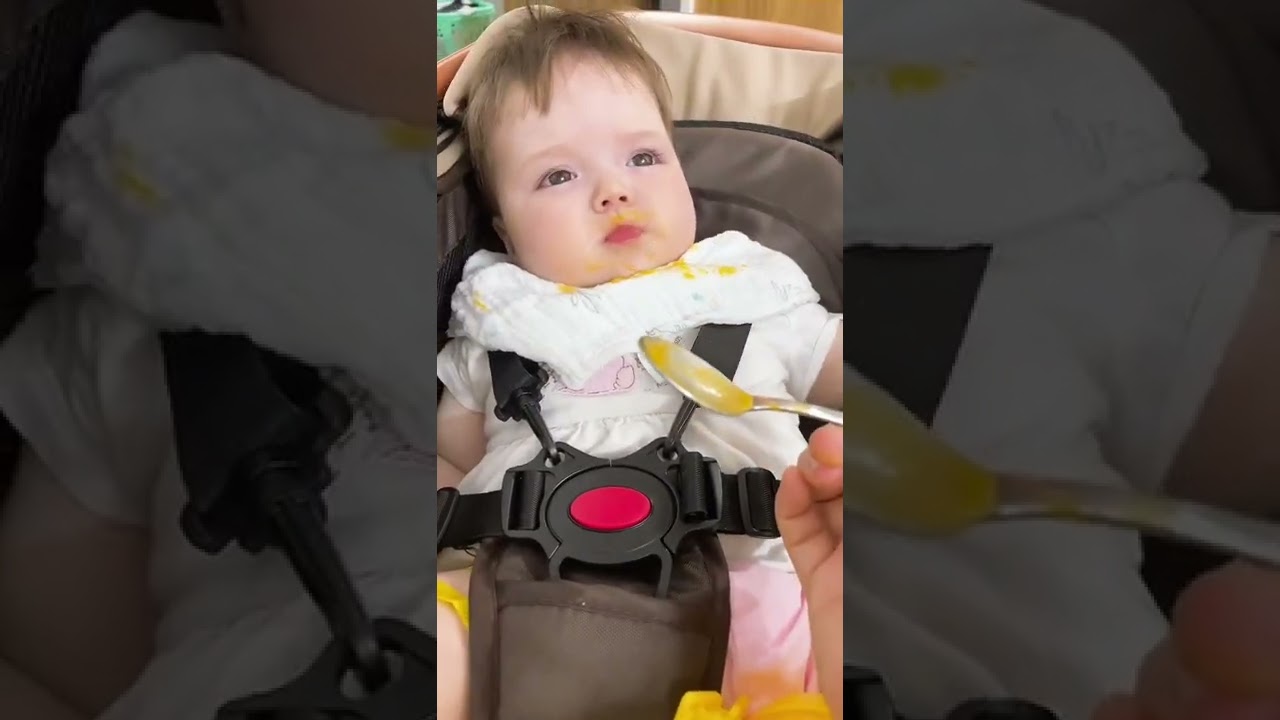 🤣 Thư giãn : sleeping, eating, poo, pee 😘 Savannah Baby 🇺🇸 US 🇻🇳 VIỆT