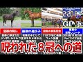 【競馬】伝説の賞金女王！アーモンドアイ歴代最強の牝馬