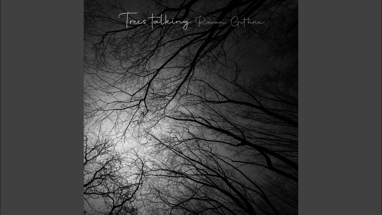 Watch Trees talking on YouTube Watch Trees talking on YouTube