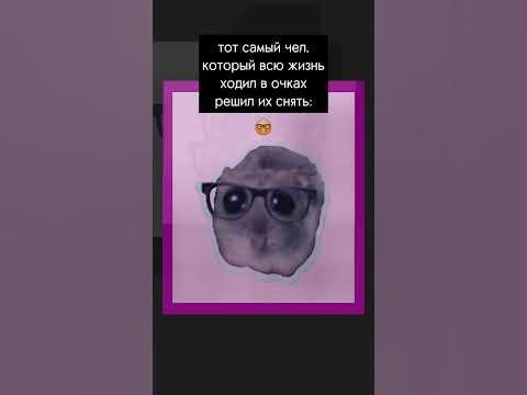 мем с хомяком #memes #преколы #смешно #жиза #топ #топчик - YouTube