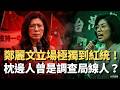 鄭麗文的立場與爭議