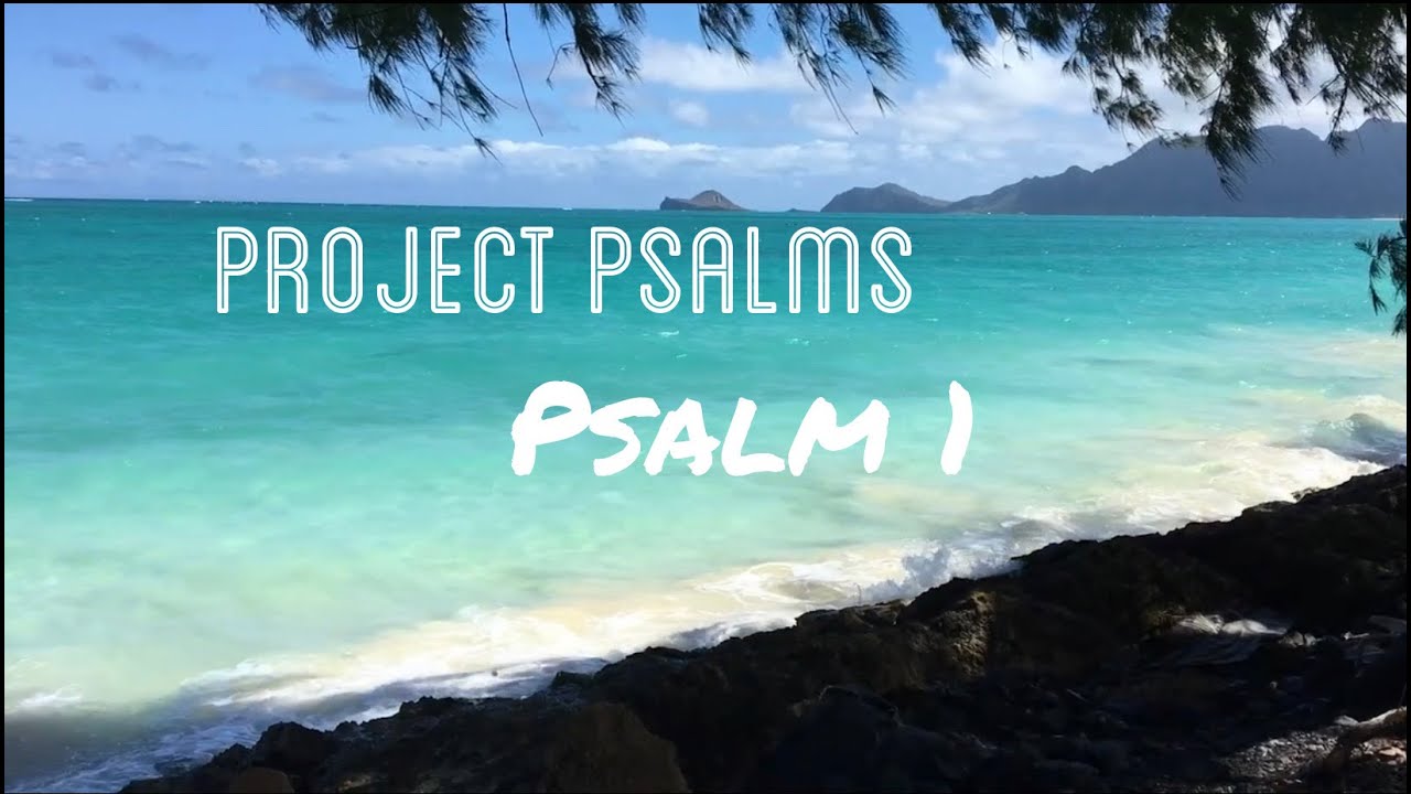 Project psalms psalm 1 youtube