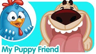 Pet Songs: Puppies | Lottie Dottie Chicken | Nursery Rhymes For Kids