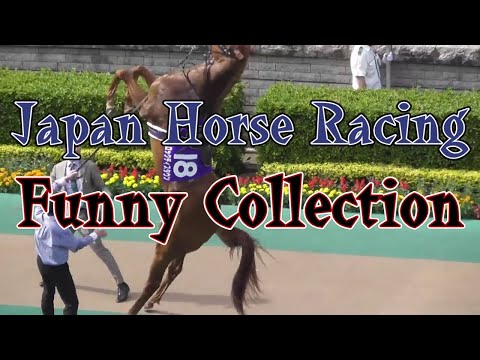 japanese-horse-racing-funny-videos