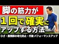 【足 老化防止 トレーニング】膝痛 股関節痛 痛みの原因は足の筋力 |1回で確実に上がるトレーニング
