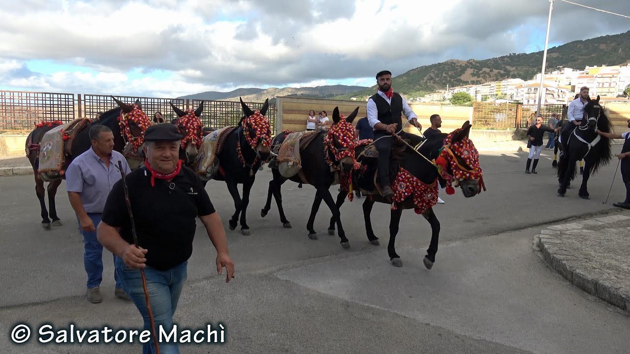 Montemaggiore Belsito (PA) - Cavalcata 2022
