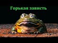 "Горькая зависть". П. П. Бяков. МСЦ ЕХБ