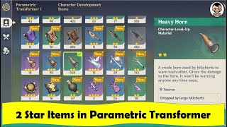 Parametric Transformer - What will you get when you use 2 Star Items | Genshin Impact
