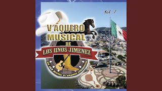 Video thumbnail of "Vaquero Musical - Flor Mixteca"