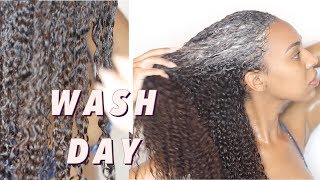 Natural Hair Wash Day Routine- How I cleanse my Natural hair