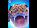 If a snake bites itself, what happens? 🤯🐍