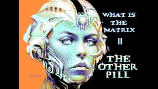 What is the Matrix II #c64 #demo. November 2024 by Censor Design. Achieved #2 - Mysdata 2024 party.