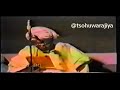 SHEIKH NASIR KABARA RTA SHEIKH NASIR KABARA RTA