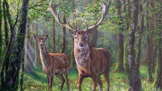 Painting Wildlife in Natural Environments - Oil Painting Timelapse