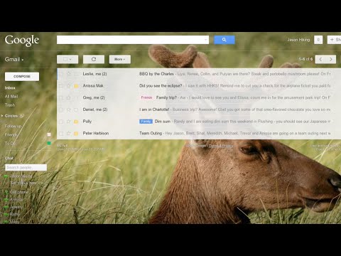 Introducing Custom Themes in Gmail