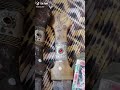 شبرية من التراث القديم في بئر السبع شبرية من التراث القديم في بئر السبع