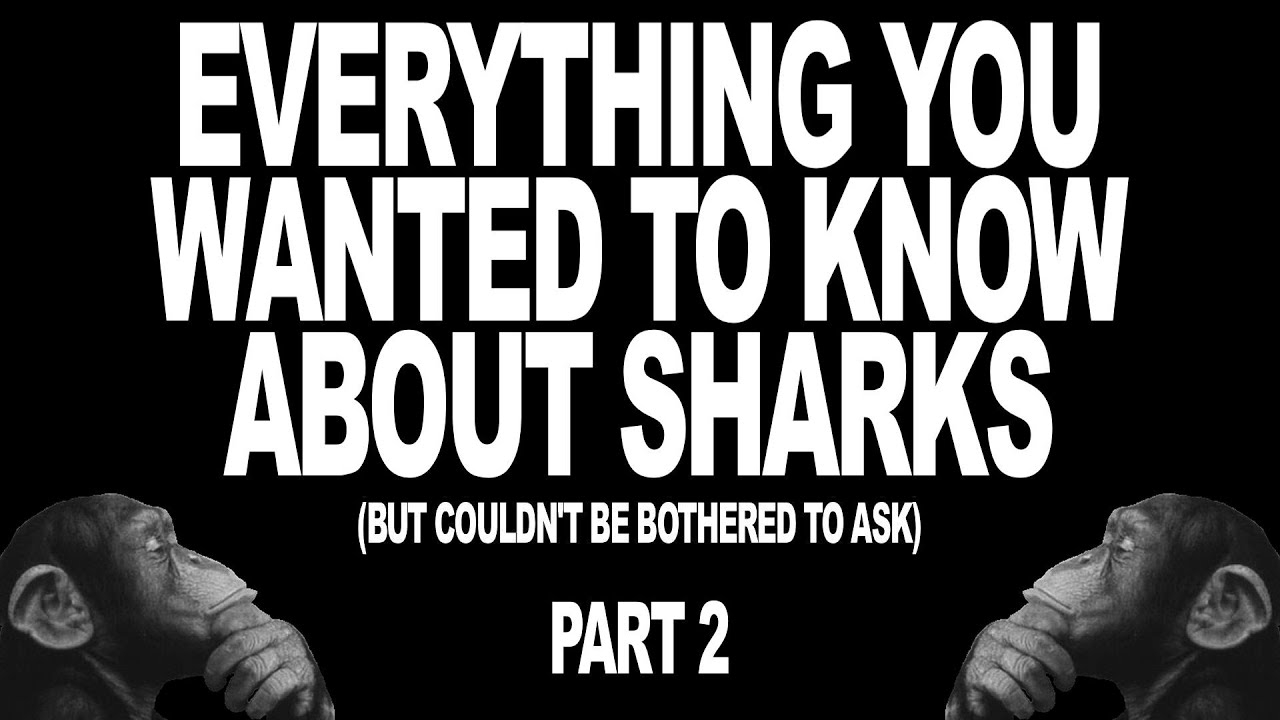 Everything You Wanted To Know About Sharks (But Couldn't Be Bothered To Ask) - Part 2