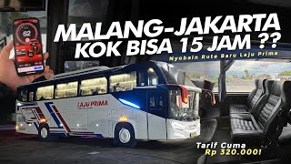 HARUS SABAR... PEMAIN BARU TAPI KOK BEGINI ⁉️ - Nyobain Rute Baru LAJU PRIMA Malang-Jakarta #Lifka