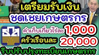 เตรียมรับเงินชดเชยเกษตรกร#ค่าเก็บเกี่ยวไร่ละ1000 รับสูงสุดครัวเรือนละ20000#ปรับปรุงทะเบียนเกษตรกร