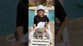 Color changing everything 😌 #BlueLizardPartner custom stickers & hats with @BlueLizardSunscreen