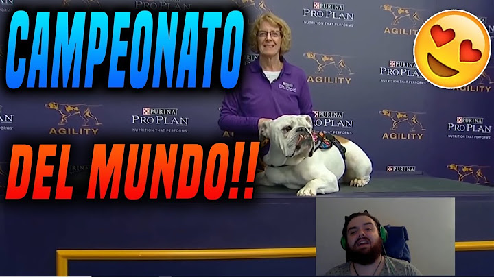 🔴"IBAI" CASTEA EL CAMPEONATO DE LOS PERROS MAS HABILES DEL MUNDO🔴[2019]🐶