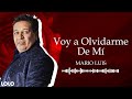 mario luis voy a olvidar de mi letra