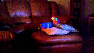 Puppet Show Ii