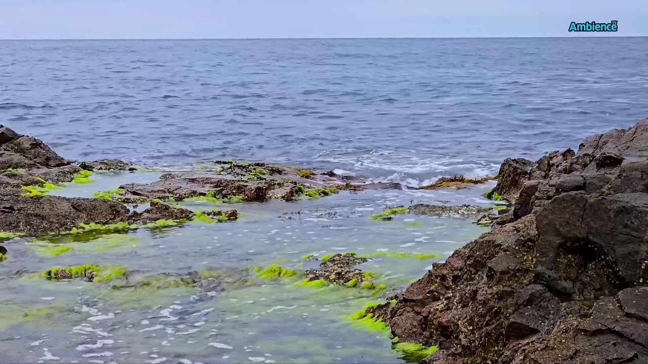 In Harmony with Pure Nature: Contemplation for Consciousness and the Soul FHD 24/7