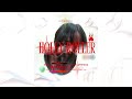 Holly Roller | Cover Spiritbox By : Nova
