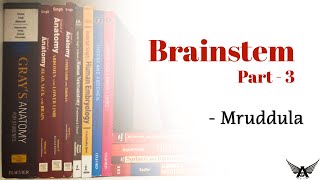 Brainstem | Part - 3 | Neuroanatomy | Anatomy | Agam Webinars