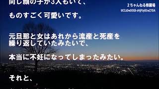 【因果応報】子供が出来にくい姉は理解の上のはずだった夫は、プリン相手のもとへ。姉は離婚し、その後再婚し子宝に恵まれた→どこからか聞きつけクズ男とプリン女が襲来！