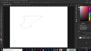 Path Selection Tool - Adobe Photoshop CC 2019 Net Worth