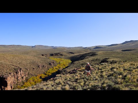Stranded Steelhead: The Great Basin Redband of Nevada