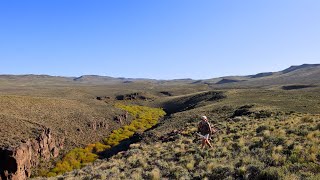 Stranded Steelhead: The Great Basin Redband of Nevada