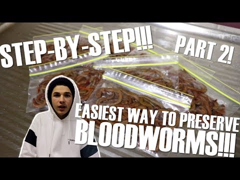 ვიდეო: როგორ შევინახოთ Bloodworms სახლში