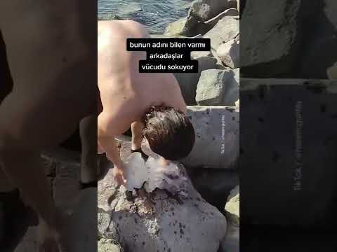 Video: Sargasso Denizi, karavel tuzağı